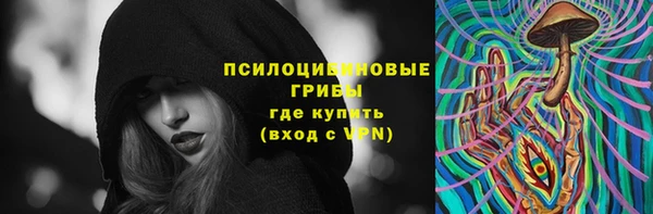 дмт Балахна