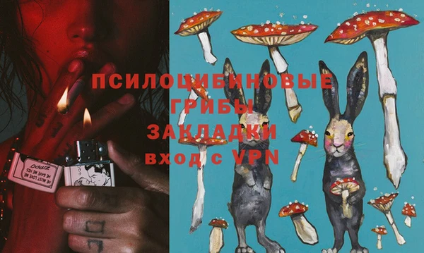 ешки Баксан