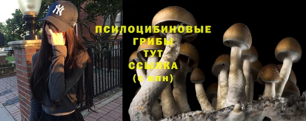 ешки Баксан