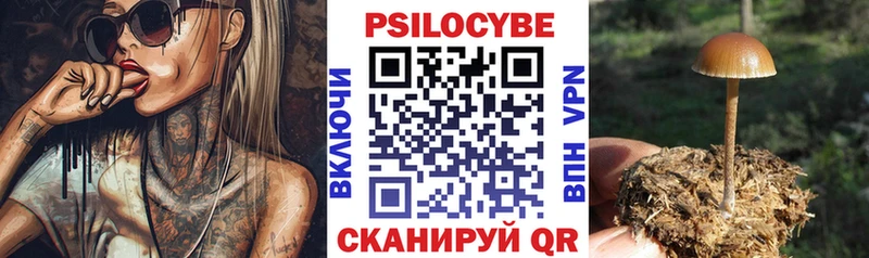 Галлюциногенные грибы мицелий  Усть-Илимск 